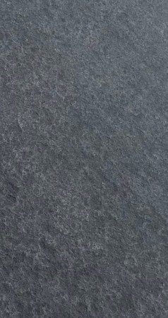 12806