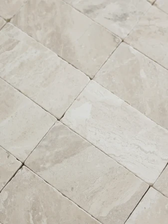 21850.
