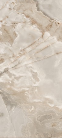 769921_08.jpg