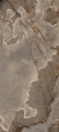 769924_03.jpg
