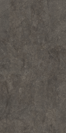 778711_04 (Copy).png