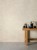 Stone Life - riv_shell_pav_haze (Copy).jpg