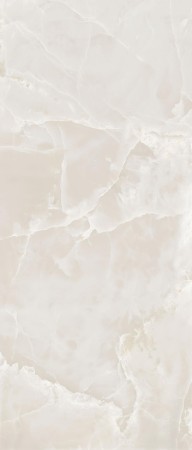 778821_04 (Copy).jpg