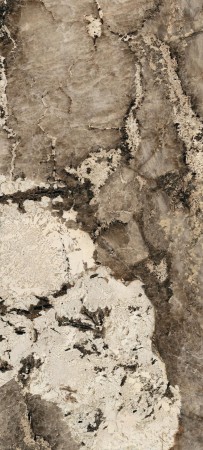 774703_01 (Copy).jpg