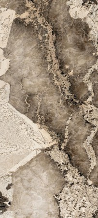 774703_02 (Copy).jpg