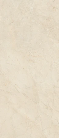 pobierz (49).webp