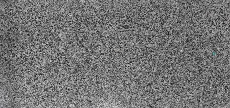 6858.jpg