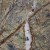 plytki-marmur-rain-forest-green-polerowany-61x30-5x1-2-cm (2).jpg