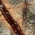 plytki-marmur-rain-forest-green-szczotkowany-30-5x61x1-2-cm (6).jpg