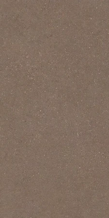 pobierz - 2024-07-25T141621.235.webp