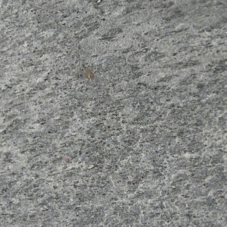 fornir-kamienny-lupek-silver-shine-tapeta-2mm-305x122x0-2-cm (2).jpg