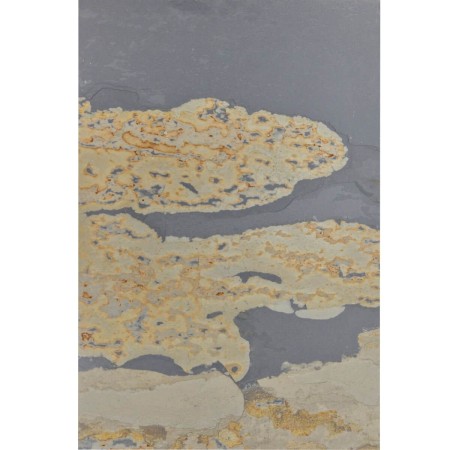 plytki-lupek-indian-autumn-naturalny-60x40x1-2-cm (6).jpg