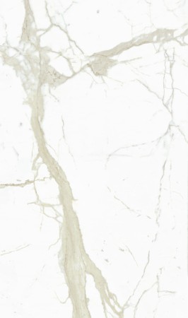 white-calacatta-book-match-1 (1).jpg