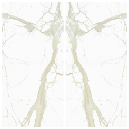 Blank 2 Grids Collage (1).png