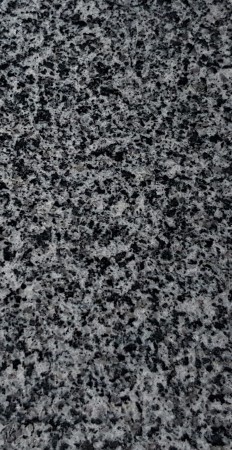 6203