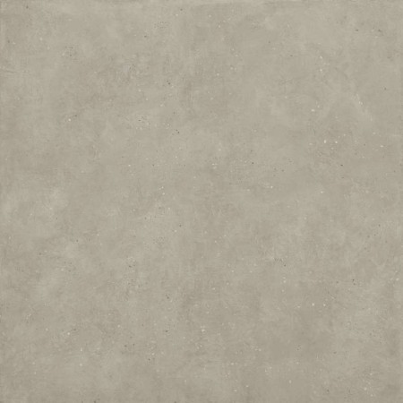 pg-stardust-ash-_-_-100100-f1-x1010414x6_800x800.jpg