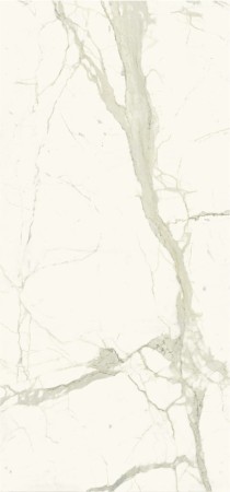 calacatta (2) (1).jpg