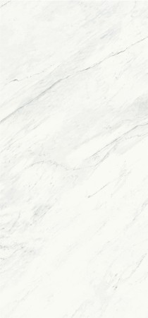 premium-white (1) (1).jpg