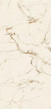 calacatta-macchia-vecchia-4d (1) (1).jpg