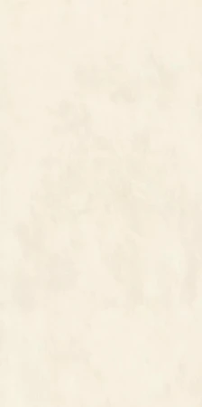 pol_pl_Florim-Essential-Mood-Warm-Powder-01-Mat-120-x-240-cm-plytka-gresowa-778880-42616_1.webp