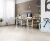 2015_010 (1).webp