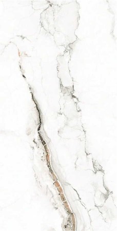7912 (1).jpg