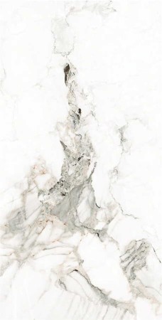 7914 (2).jpg