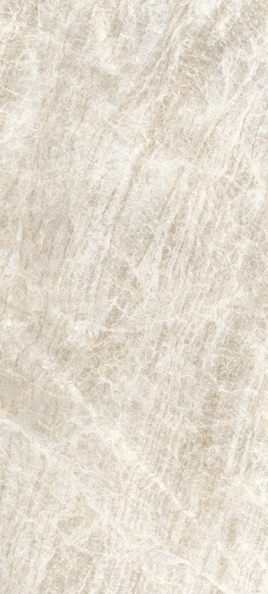 honey 785042_03.jpg